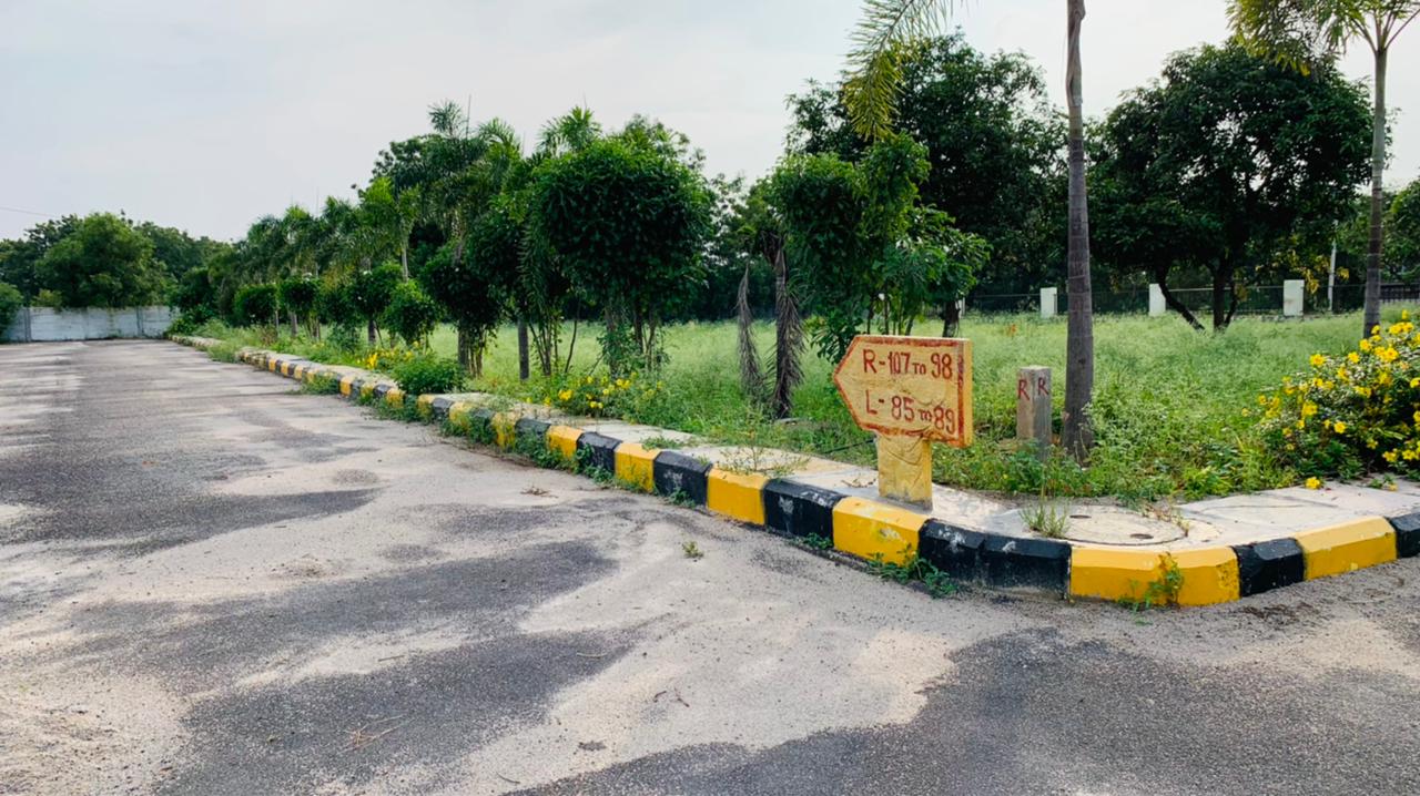 ever mark properties